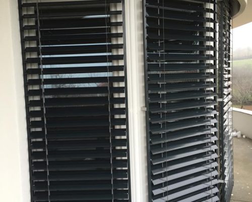 12391231_1254289524586259_7991304575226326440_n