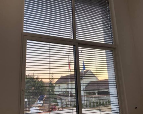 137561037_4257894894225692_7060777553631782442_n